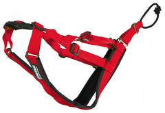 Harnais Neewa Sled Pro X rouge, vue avant, idéal pour traîneau et canicross.
