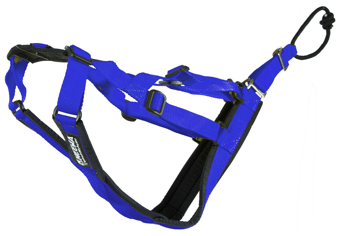 Neewa harnais-traîneau pro ajustable petit bleu vue frontale, confort ajustable pour grands chiens