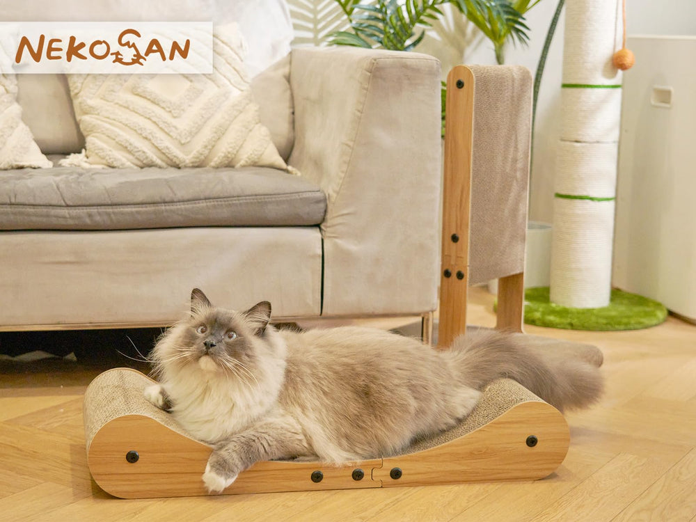 Nekosan confort-chat-lit-carton léger et portable.