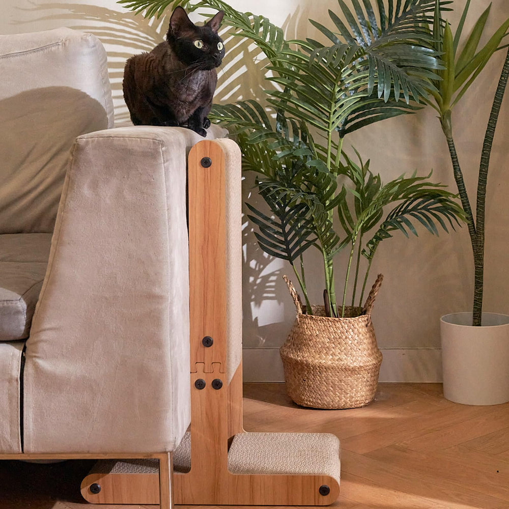 Nekosan grande taille 23,6 x 16,9 x 9,6 pouces adaptée aux chats