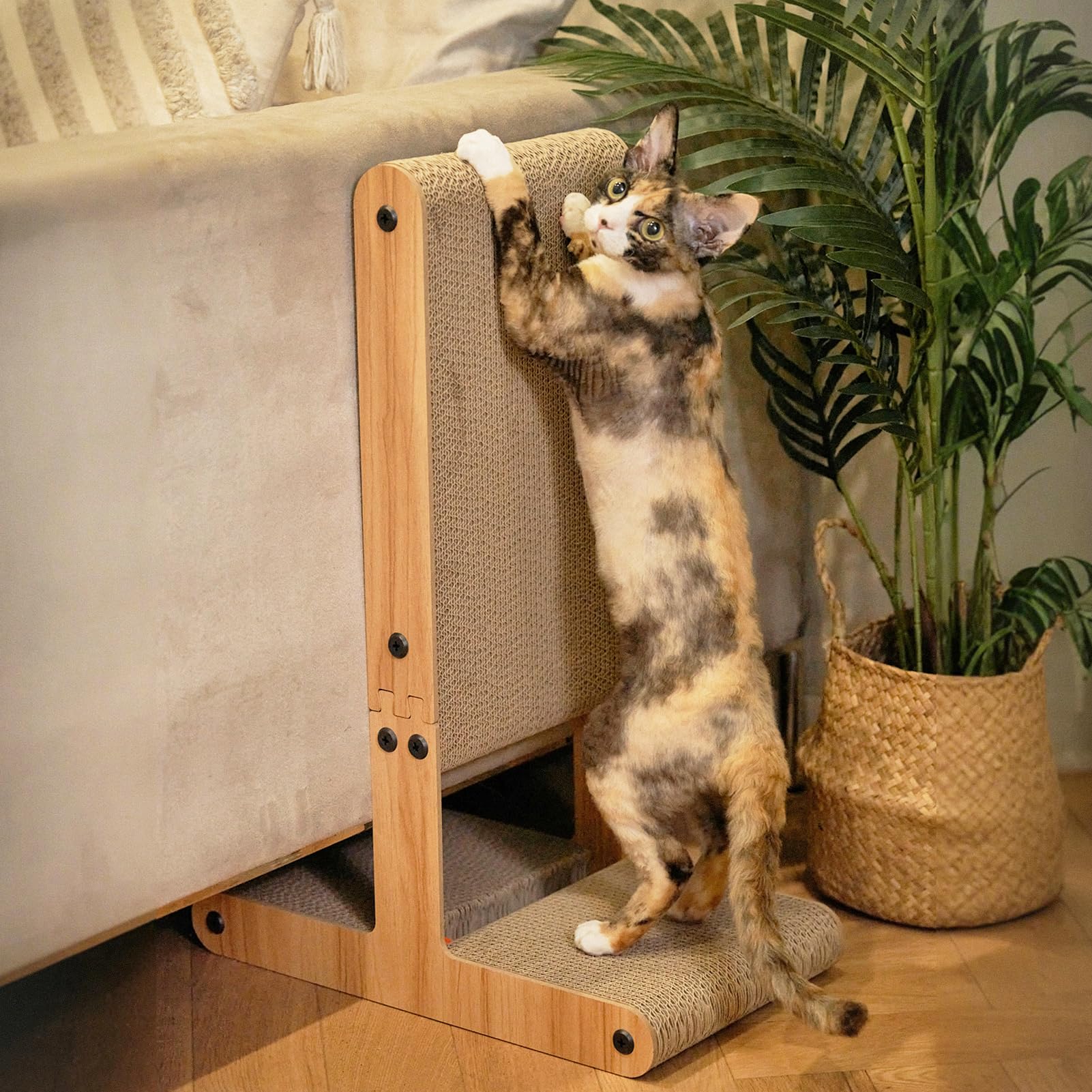 Nekosan grattoir chat forme T horizontale, espace large de griffage pratique