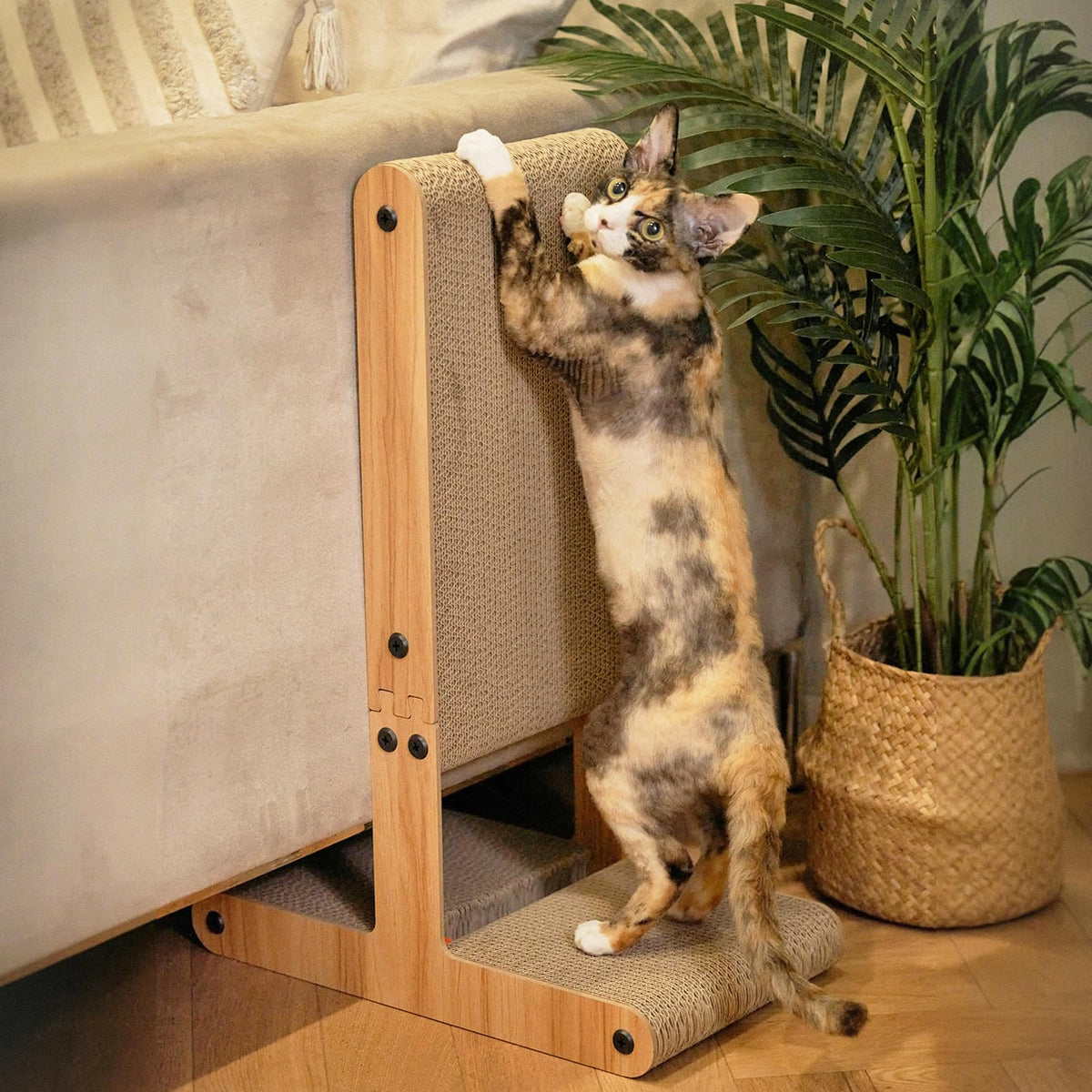 Nekosan grattoir chat forme T horizontale, espace large de griffage pratique