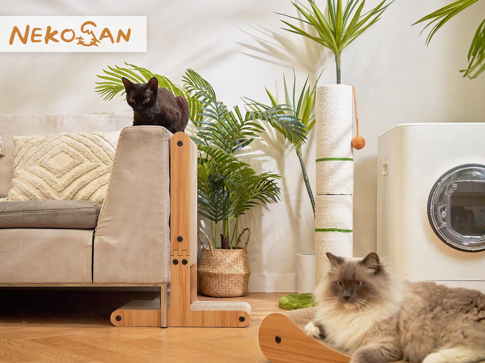 Nekosan grattoir double-face pour une vie utile prolongée