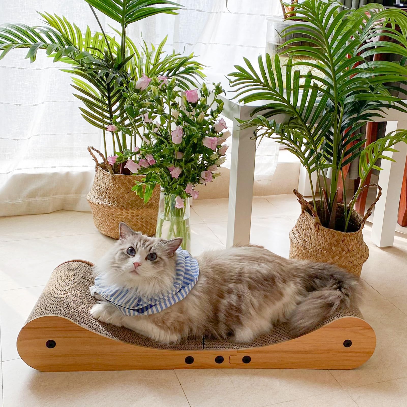 Nekosan utilisation quotidienne: repos et jeu dans un seul endroit.