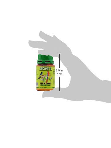 Nekton-S nutrition-plumage, image suggérant le soutien nutritionnel du plumage.
