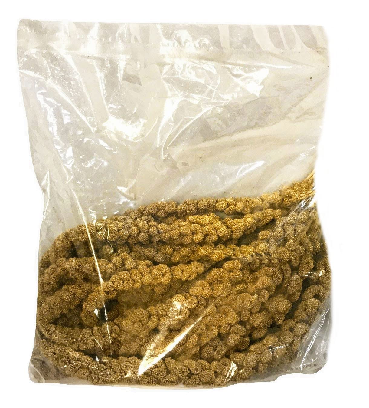 Nemeth Farms millet spray brins entiers: plus de graines utilisables pour l'alimentation