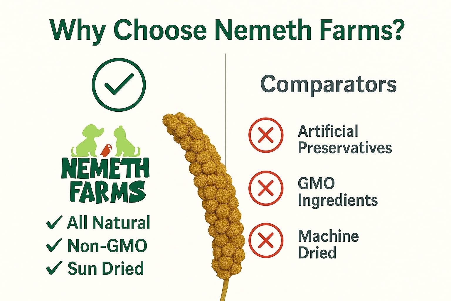 Nemeth Farms millet spray découverte quotidienne: stimulation mentale et curiosité des oiseaux