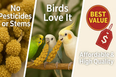 Nemeth Farms millet spray grains naturels: sans additifs, option simple pour enrichissement quotidien