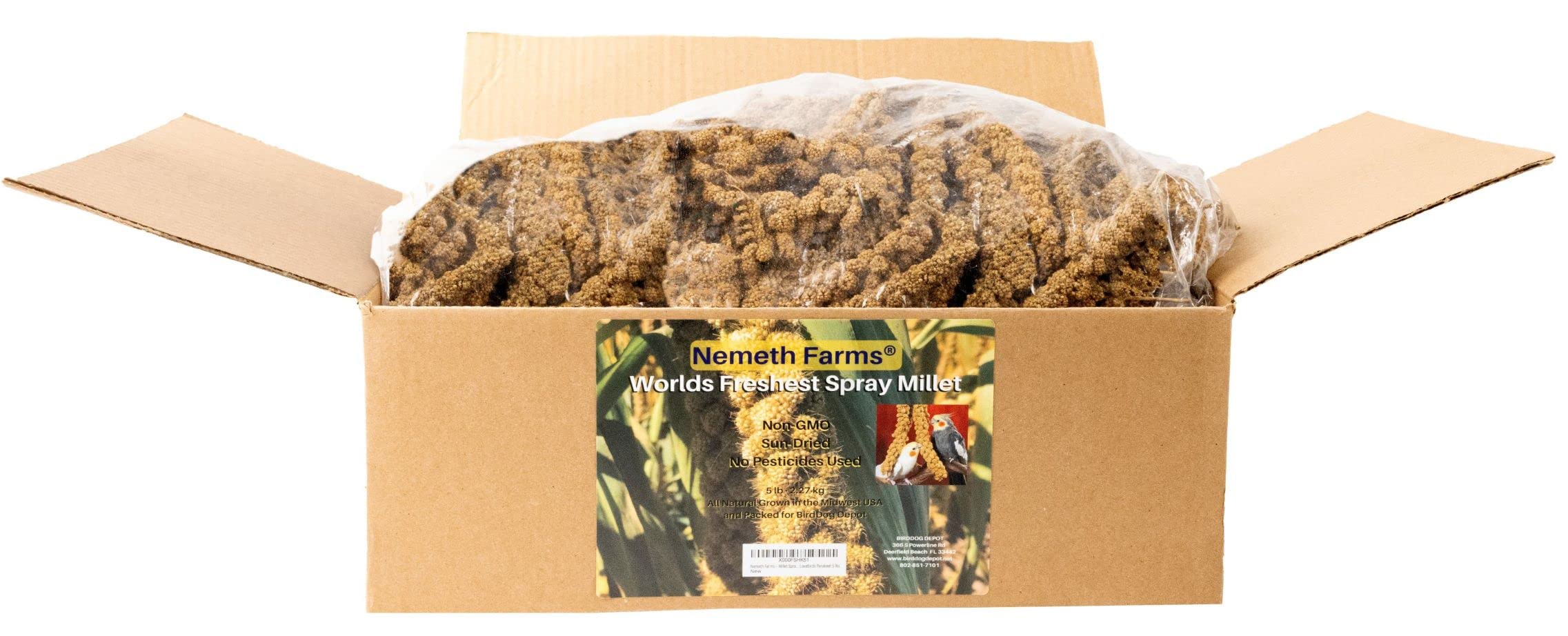 Nemeth Farms millet – enrichissement quotidien simple pour les oiseaux.