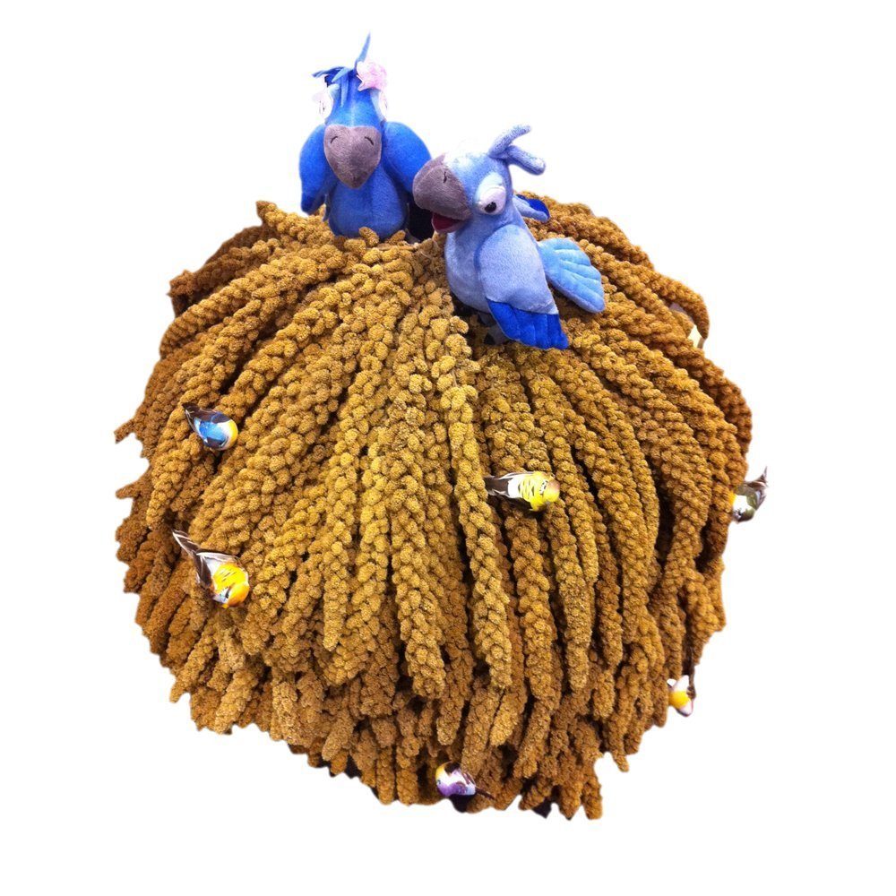 Nemeth Farms millet – séché au soleil, saveur légère.