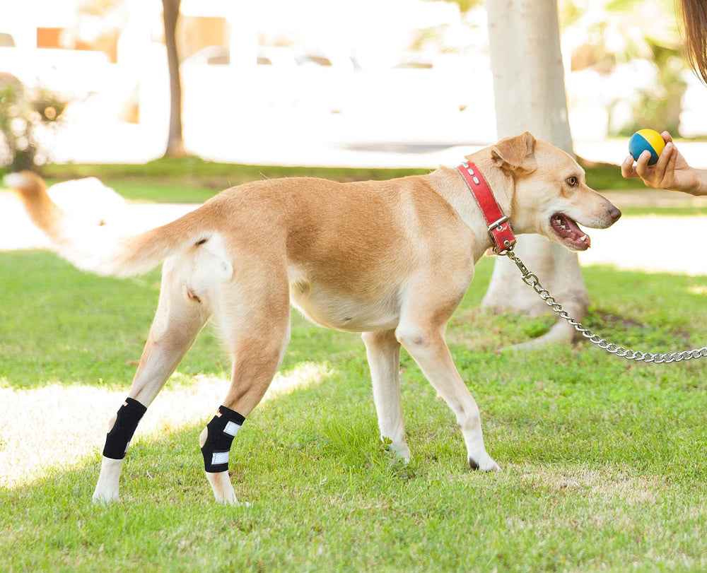 NeoAlly attelle chien sangles réfléchissantes et Velcro pour ajustement sûr.