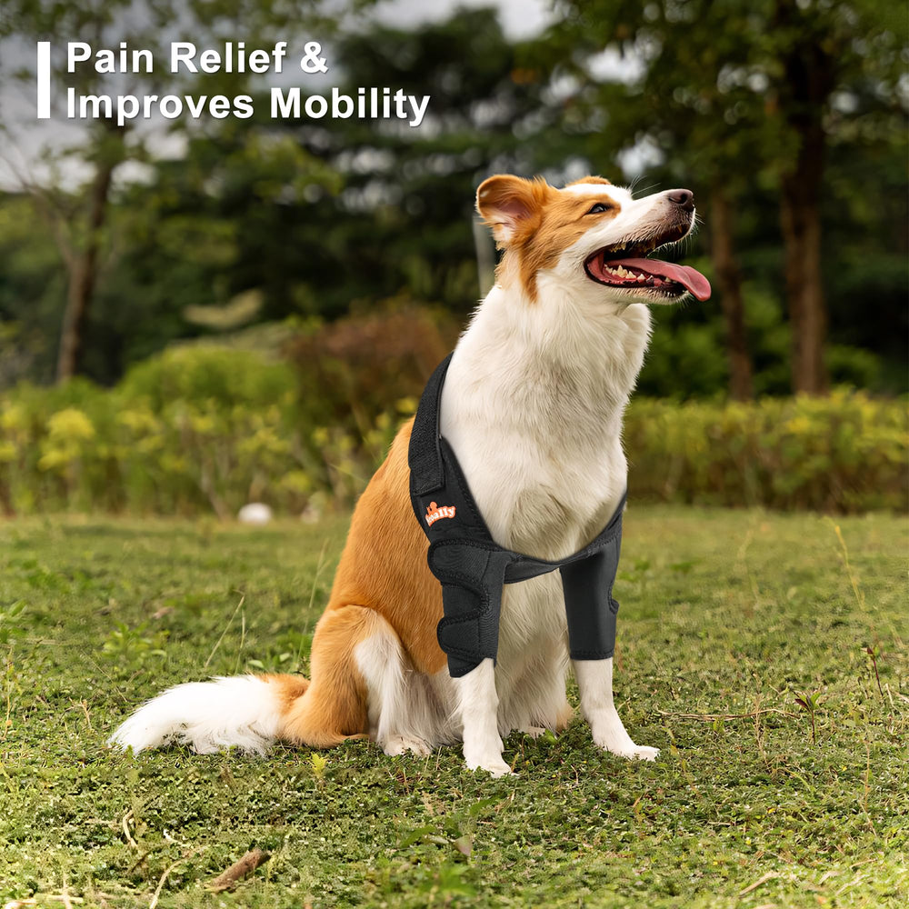 NeoAlly attelle-coude-chien-guide-mesure aide a choisir la bonne taille.