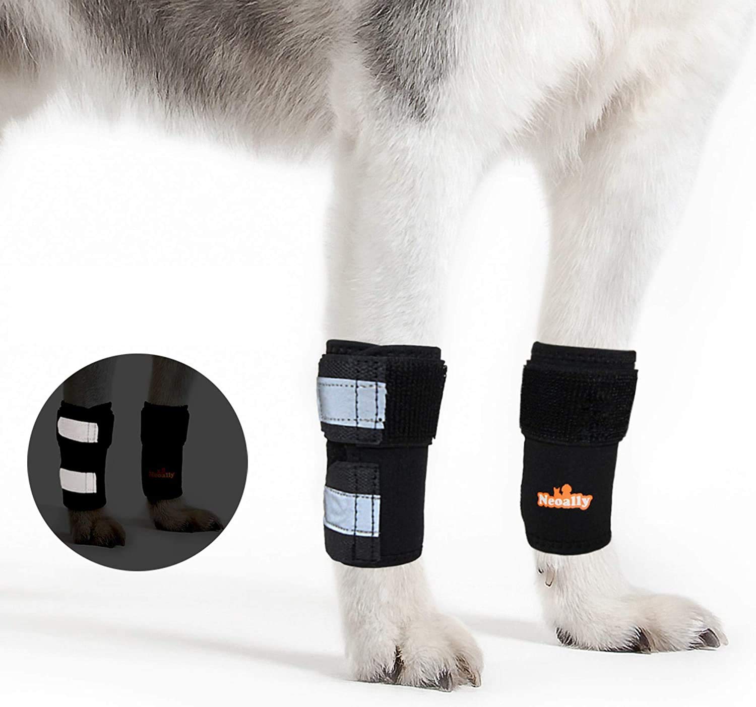 NeoAlly attelle patte avant chien chat, soutien ciblé pour la mobilité