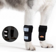NeoAlly attelle patte avant chien chat, soutien ciblé pour la mobilité