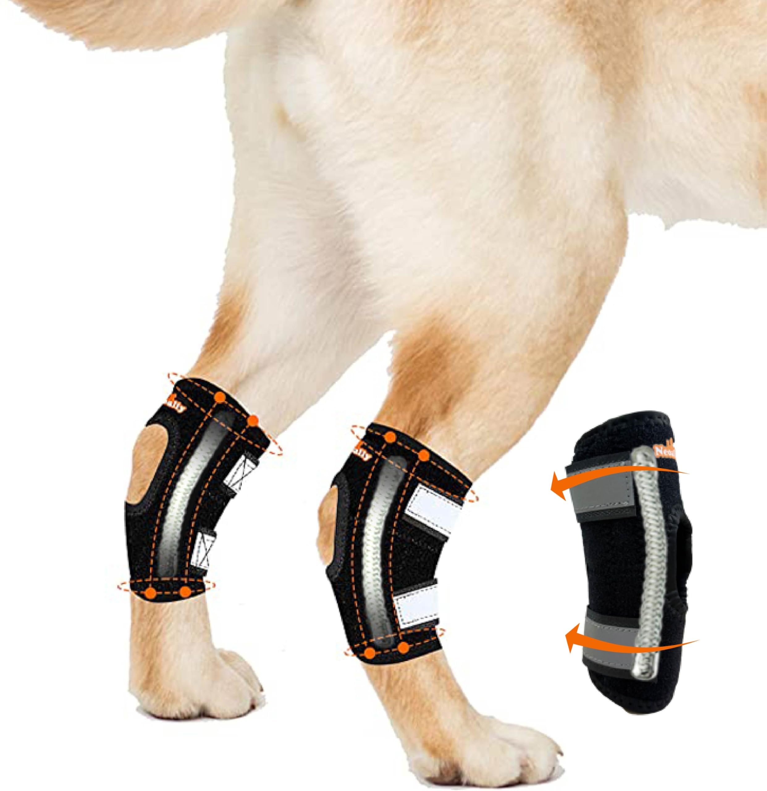 NeoAlly Brace jarret-arriere en action, soutien élégant lors des promenades.