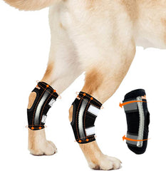 NeoAlly Brace jarret-arriere en action, soutien élégant lors des promenades.