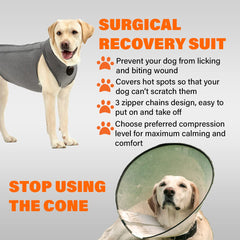 NeoAlly combinaison rétablissement chien — vue dos