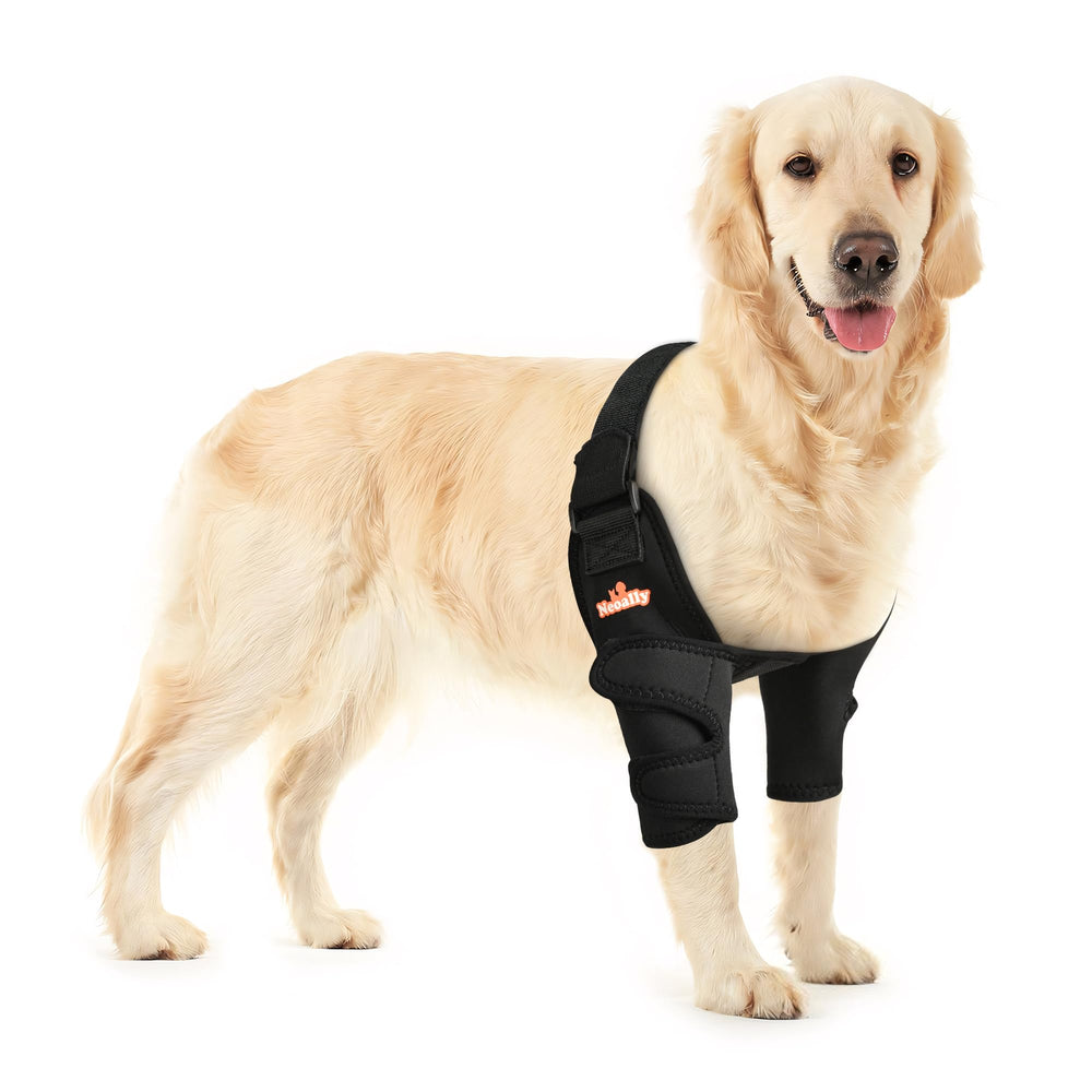 NeoAlly protection-coude pour chien: soutien sûr pendant la marche et le repos.