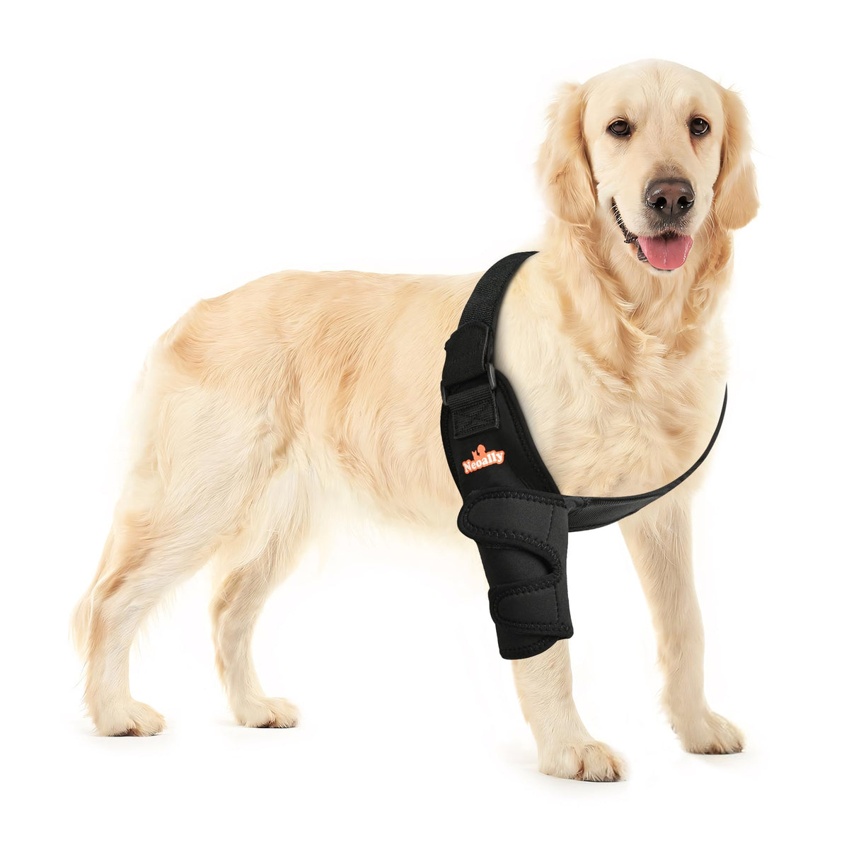 Orthèse NeoAlly pour coude du chien en position assise, confort durable et soutien.