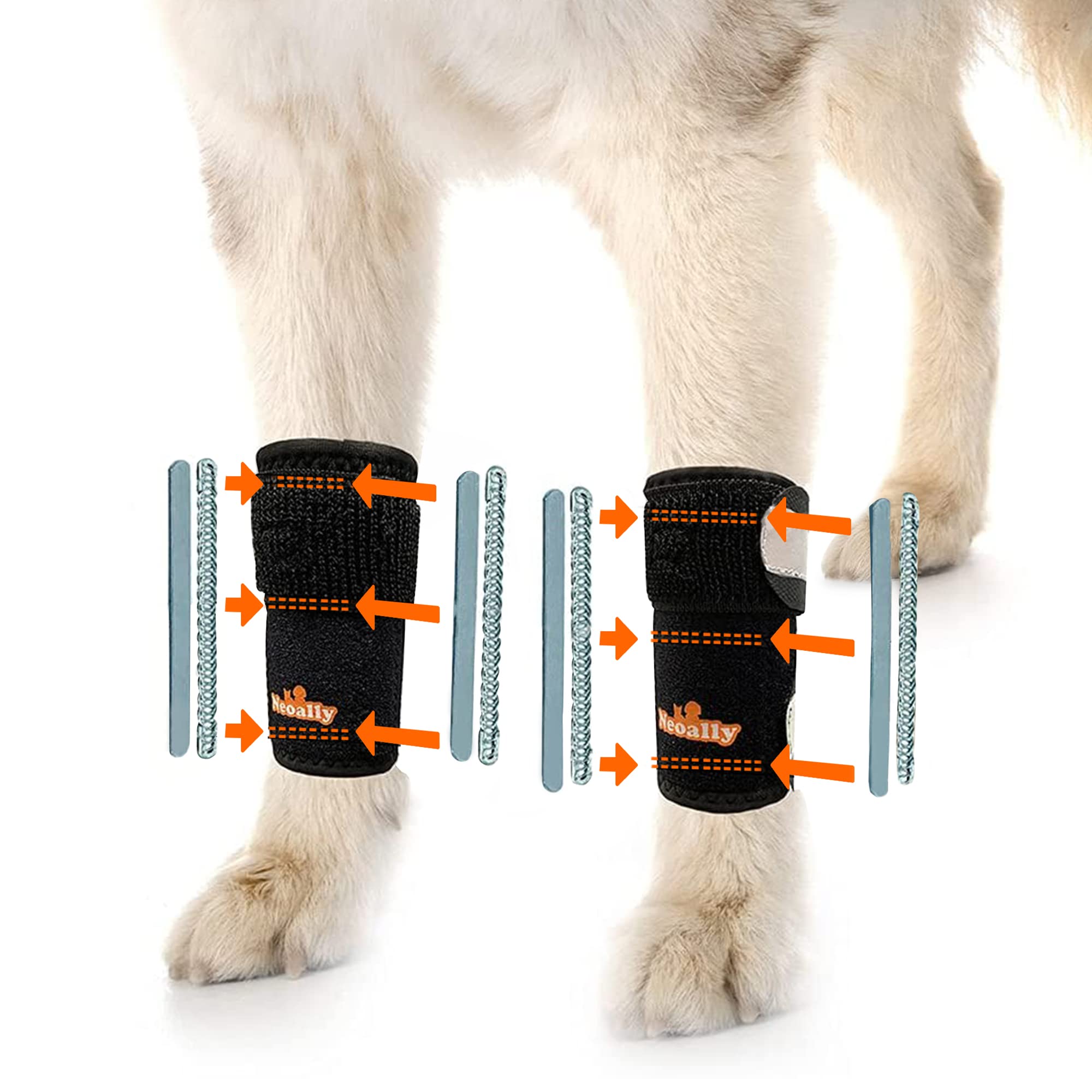 NeoAlly orthèse patte-avant métal amovible: soutien modulable pour mobilité du chien.