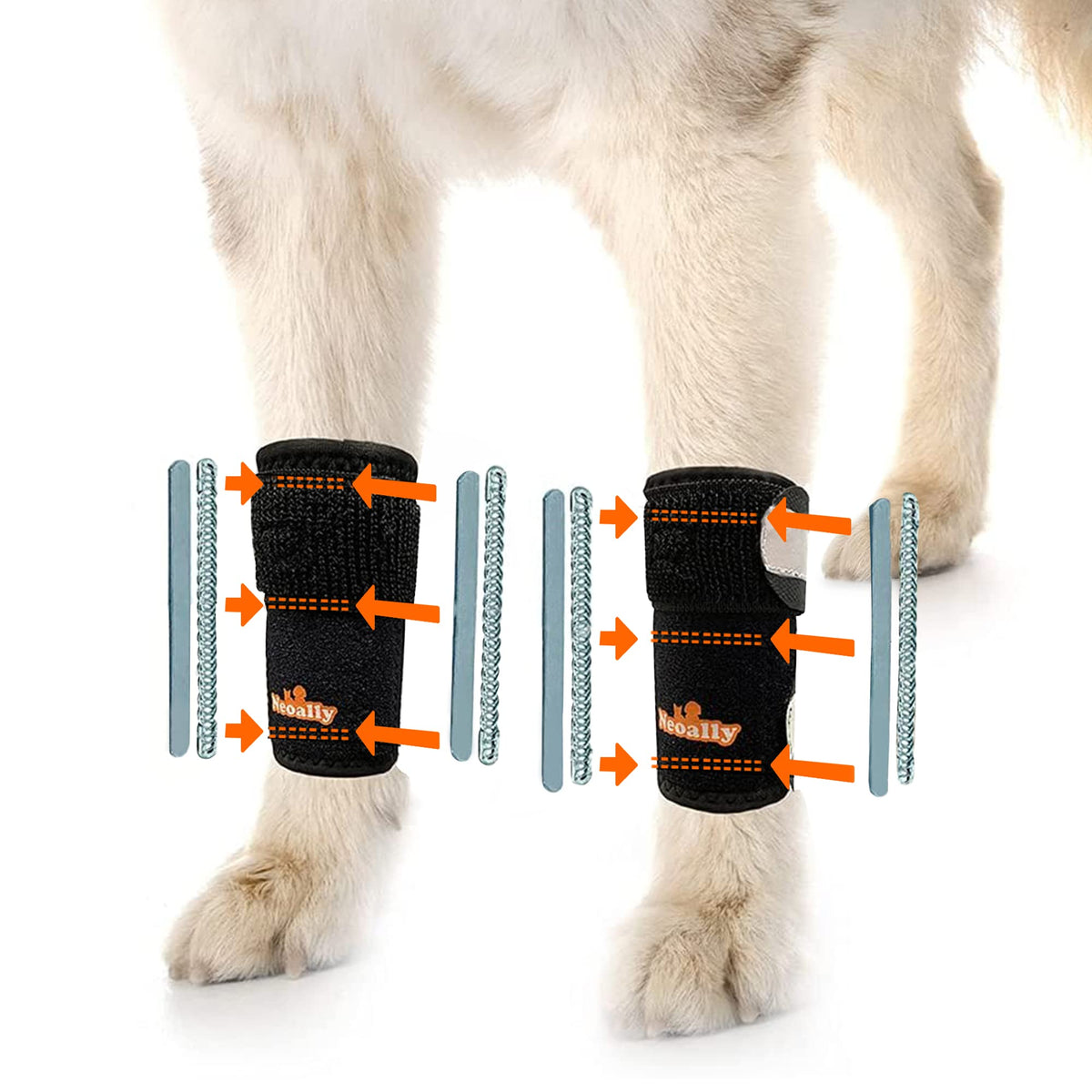 NeoAlly orthèse patte-avant métal amovible: soutien modulable pour mobilité du chien.