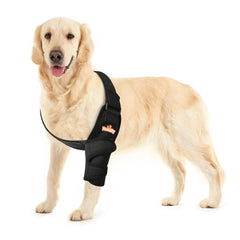 NeoAlly protège le coude gauche du chien avec un maintien confortable.