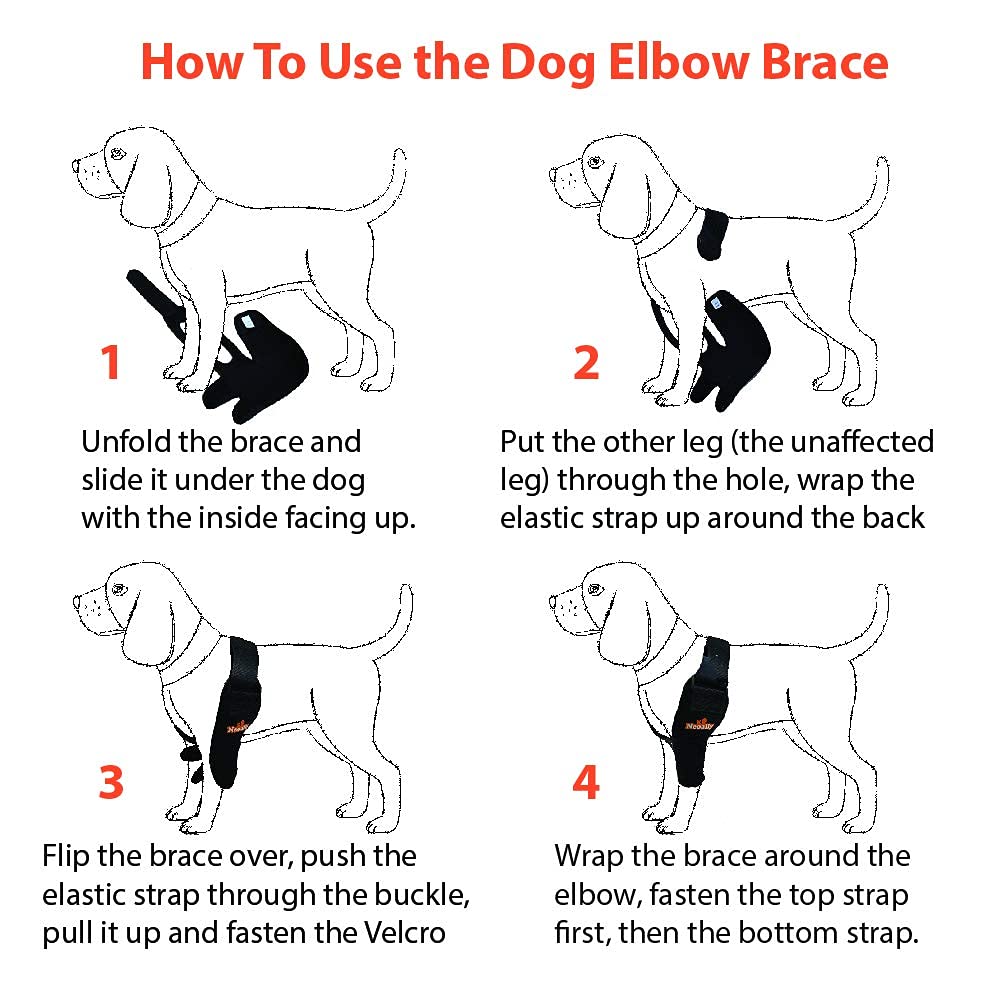 NeoAlly protége-coude-chien guide-mesure facilite le choix de la taille.