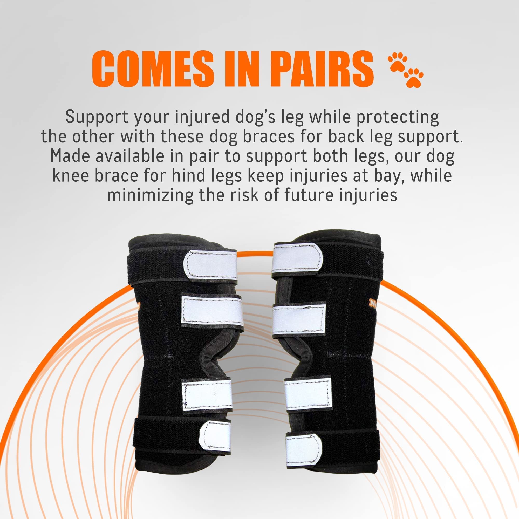 NeoAlly X-Large usage en convalescence, accompagnement des chiens.