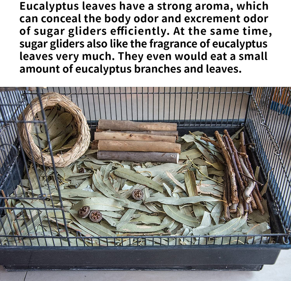 NEOUZA emballage eucalyptus 200 g, feuilles sèches prêtes à l’emploi