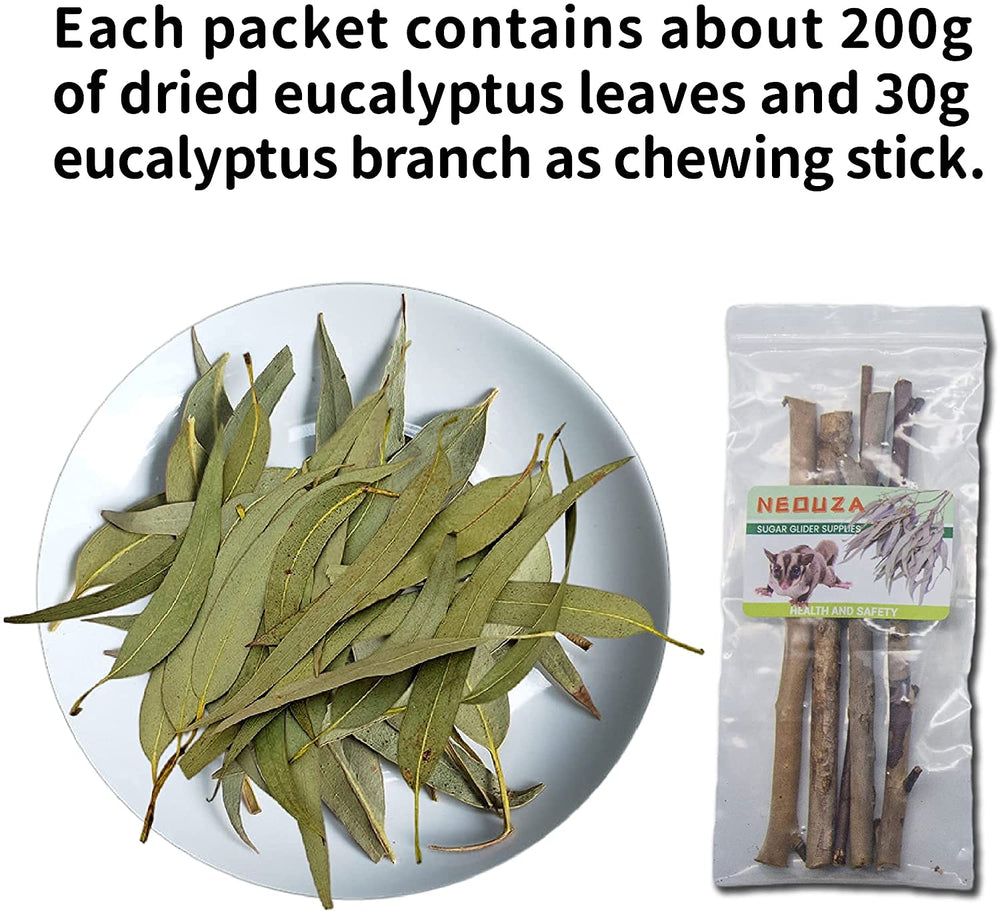NEOUZA tige mordante eucalyptus, outil dentaire naturel et stimulation