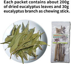 NEOUZA tige mordante eucalyptus, outil dentaire naturel et stimulation