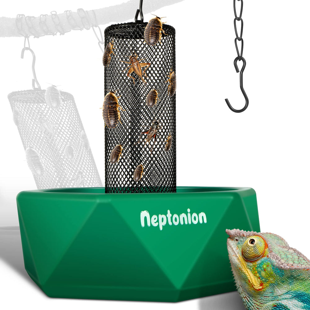 Bol NEPTONION avec grille verticale attirant les insectes et stimulant l'appétit du caméléon.