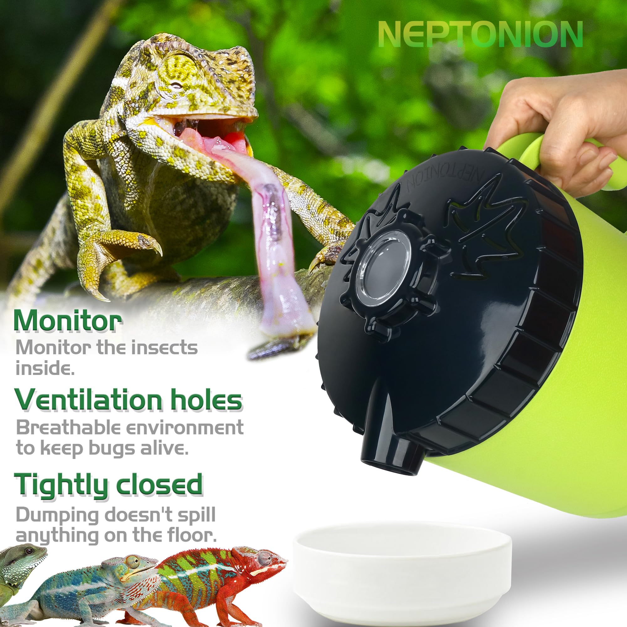 NEPTONION support-poudre-aimant assure fermeture automatique et compartiments pratiques.