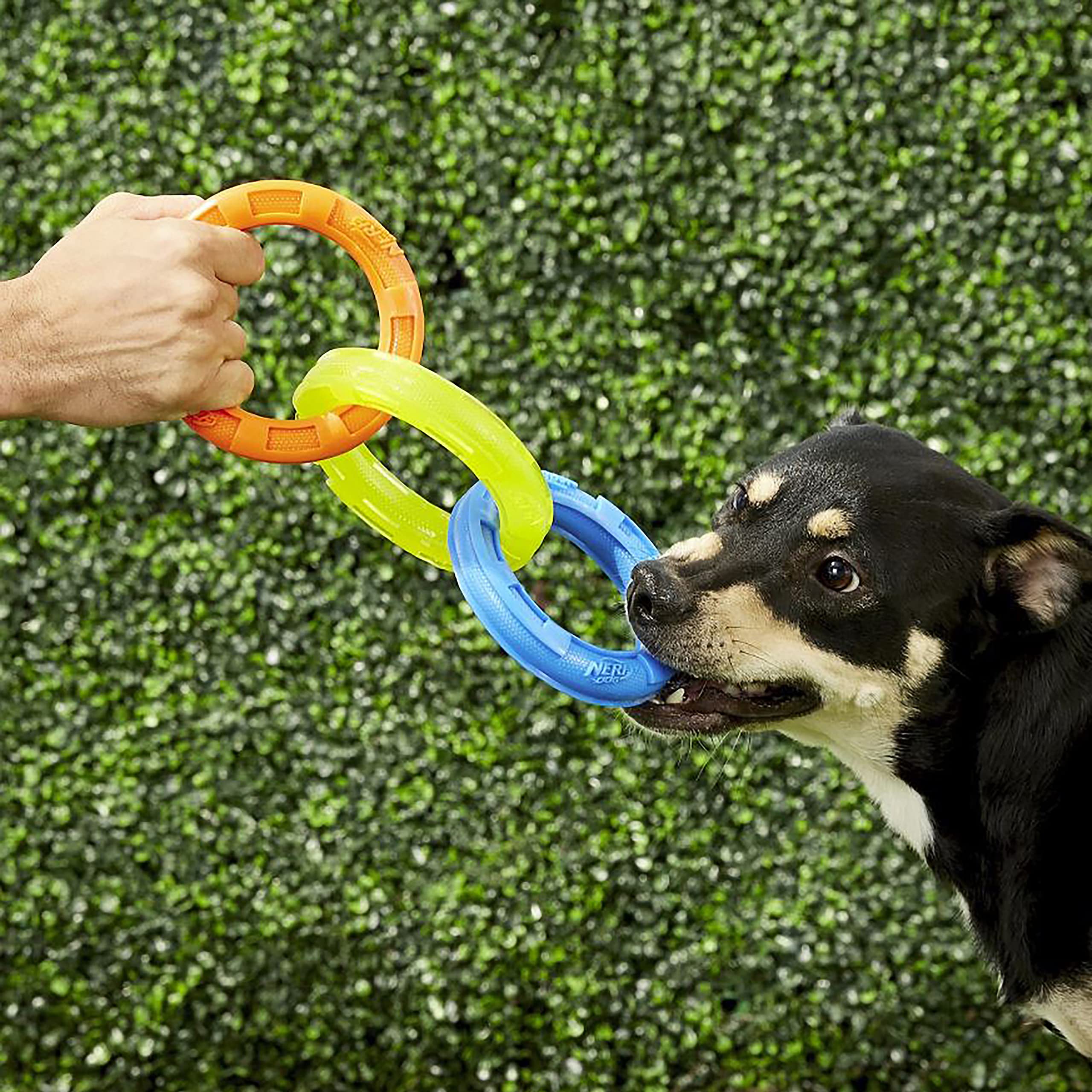 Jouet coloré Nerf Dog, résistant à l’eau, idéal pour tir et jeu en plein air.