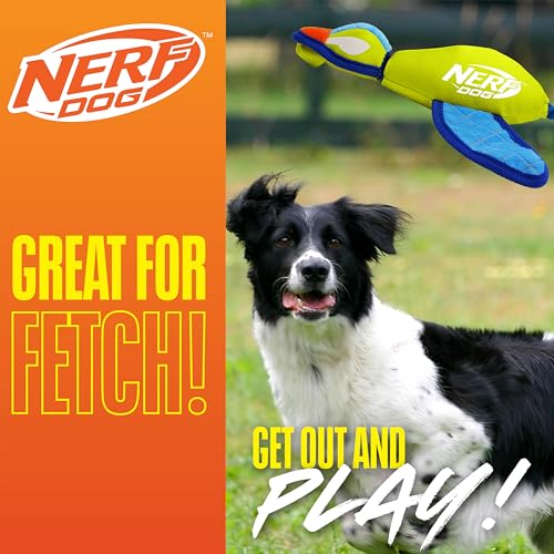Nerf Dog aile crinkle canard bleu clair, stimulation mentale et activité physique