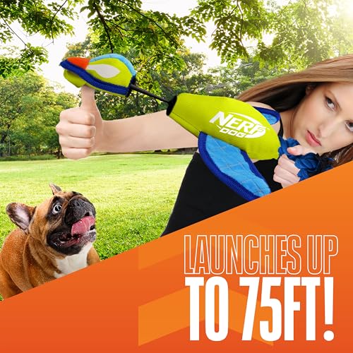 Nerf Dog aile crinkle canard vert, jouet résistant pour chien joueur