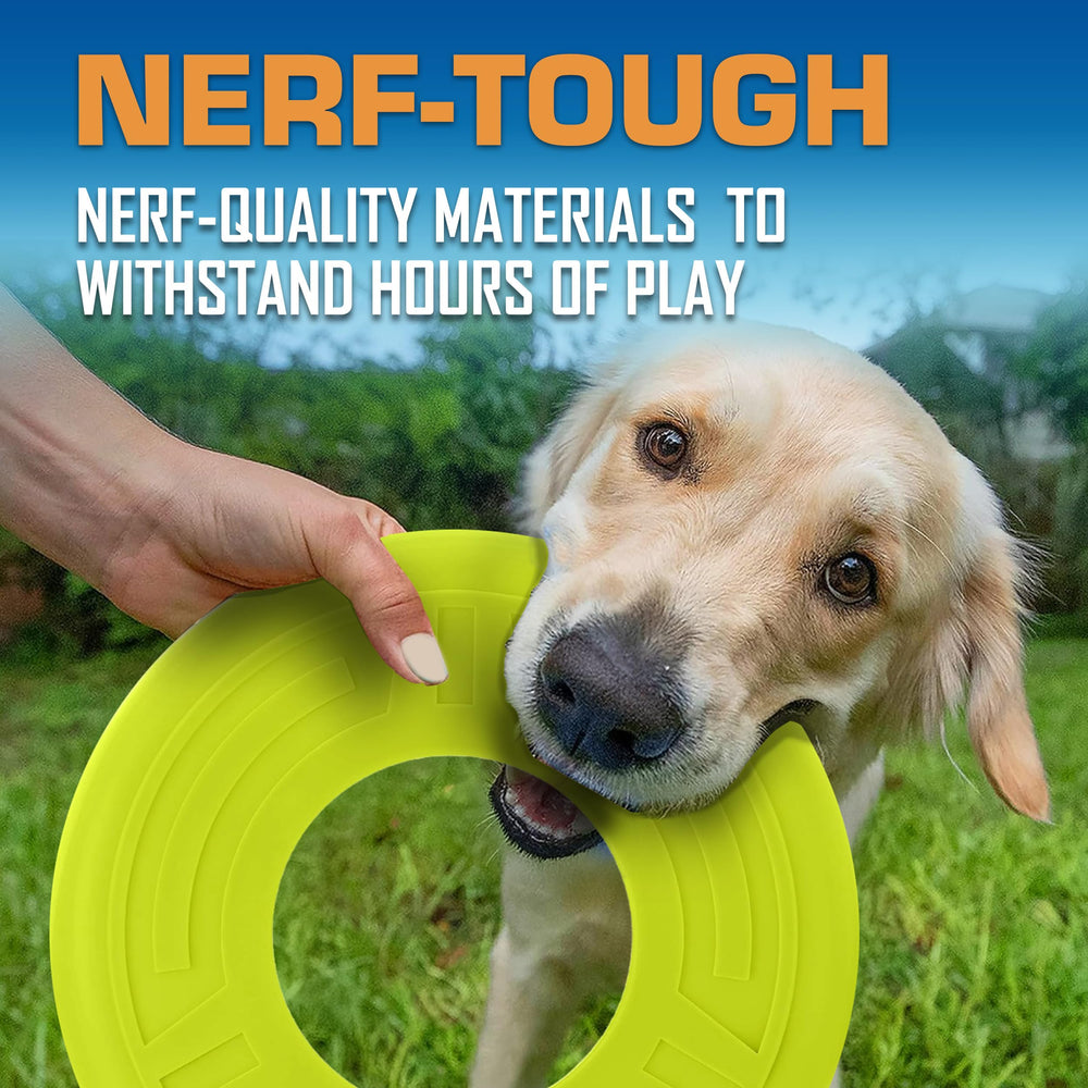Nerf Dog Atomic Flyer avec matériaux Nerf-Tough durables pour chiens actifs.