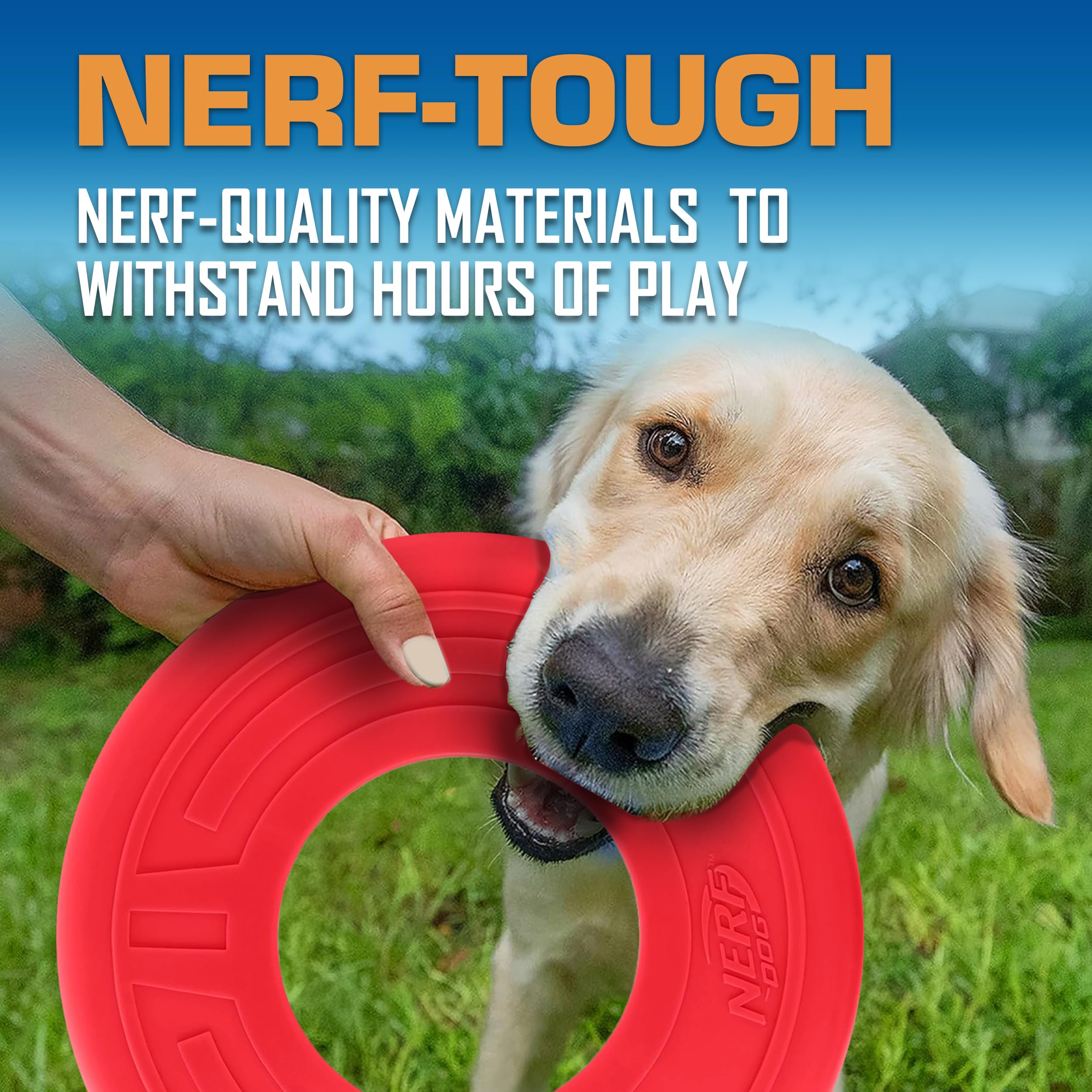 Nerf Dog Atomic Flyer — matériau Nerf Tough avec disque rouge durable