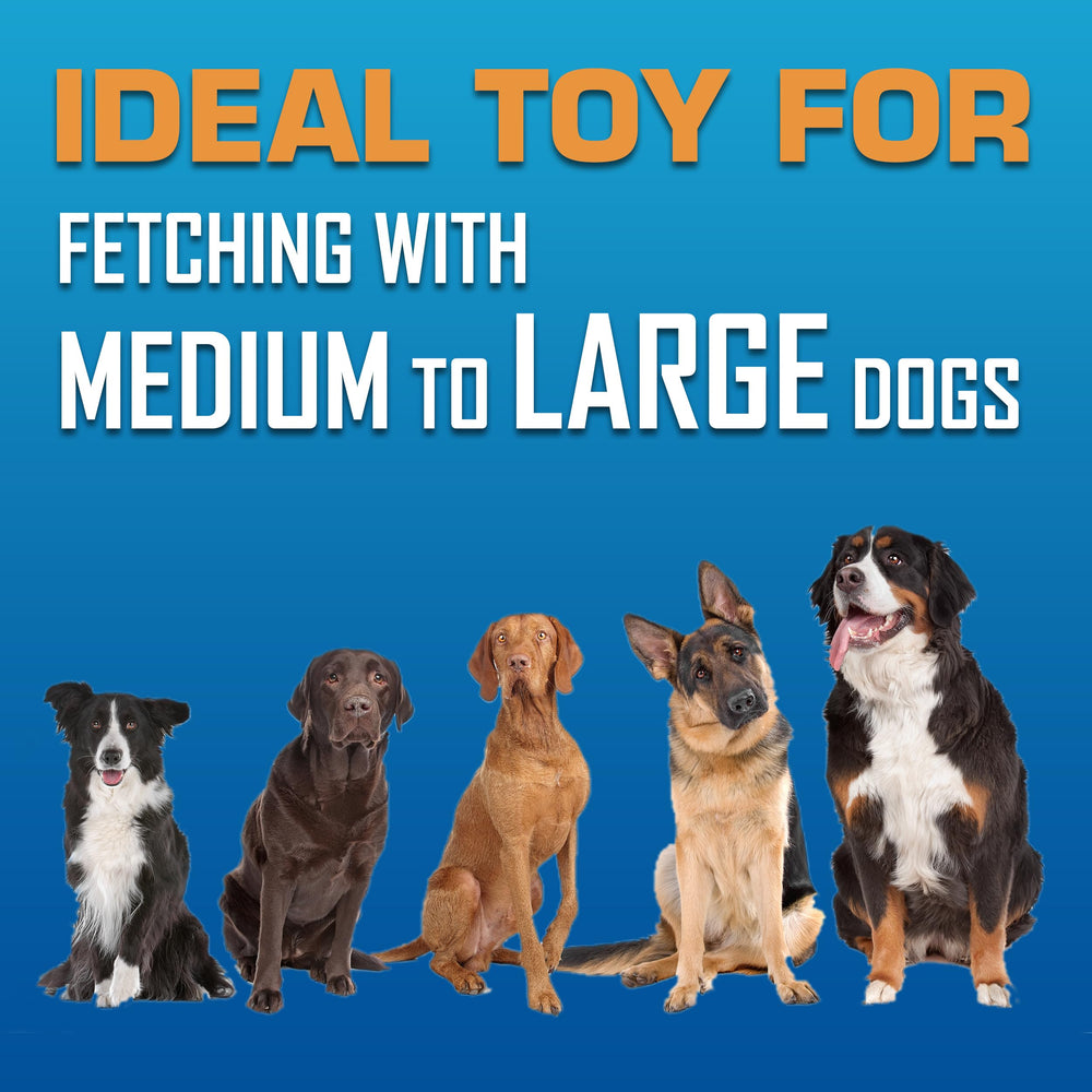 Nerf Dog Atomic Flyer — jouet sûr pour les sessions de jeu en extérieur
