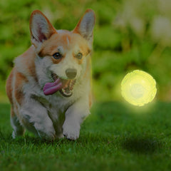 Balle Nerf Dog avec crêtes de prise pour une meilleure adhérence