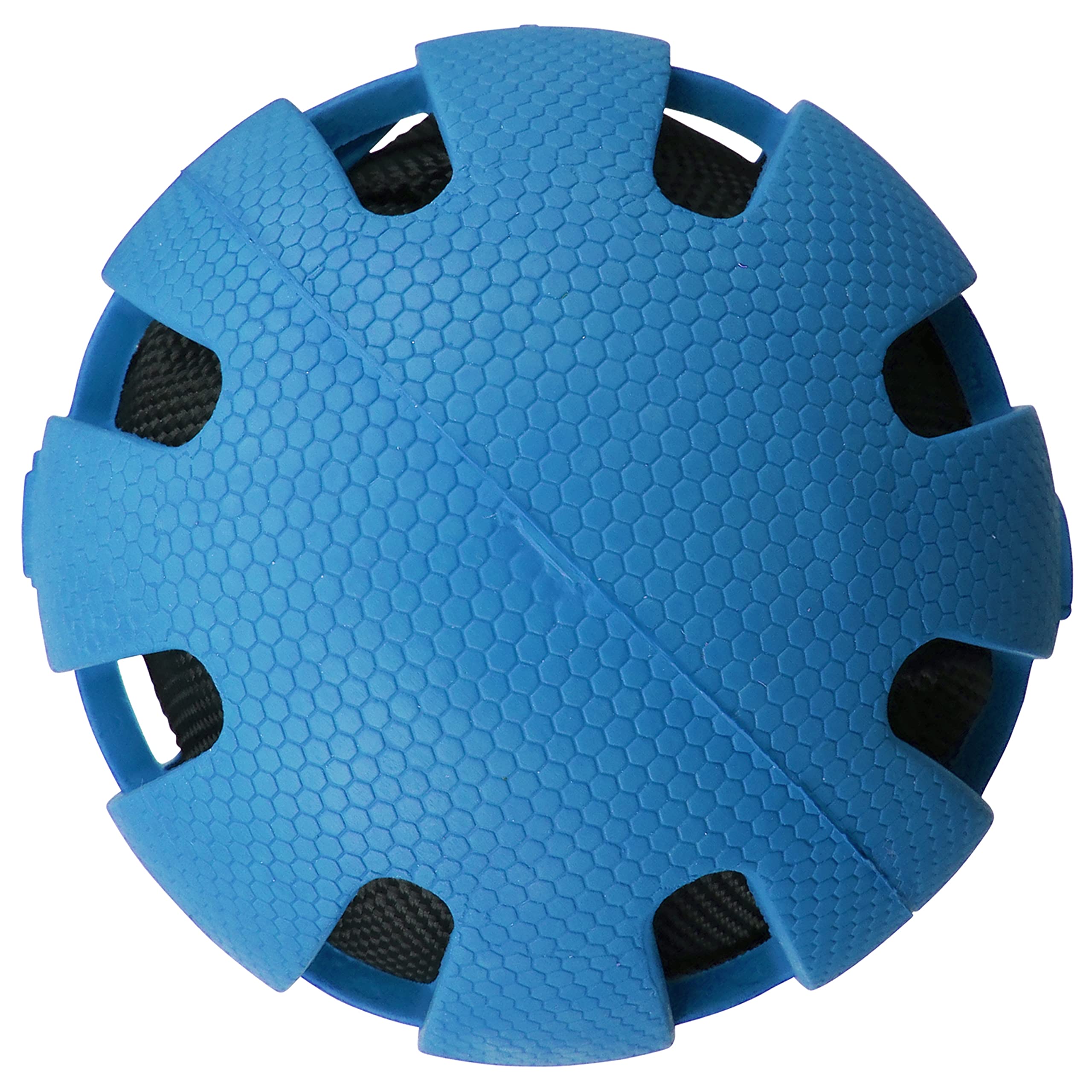 Nerf Dog balle bleu: lancer rapide et jeu dynamique pour chiens.