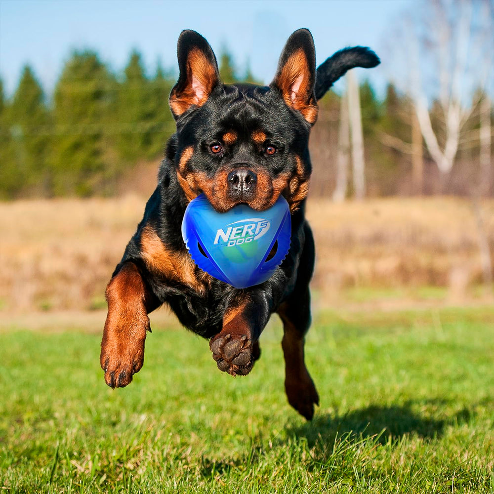 Nerf Dog rumble bleu idéal pour sessions de jeu variées et énergétiques.