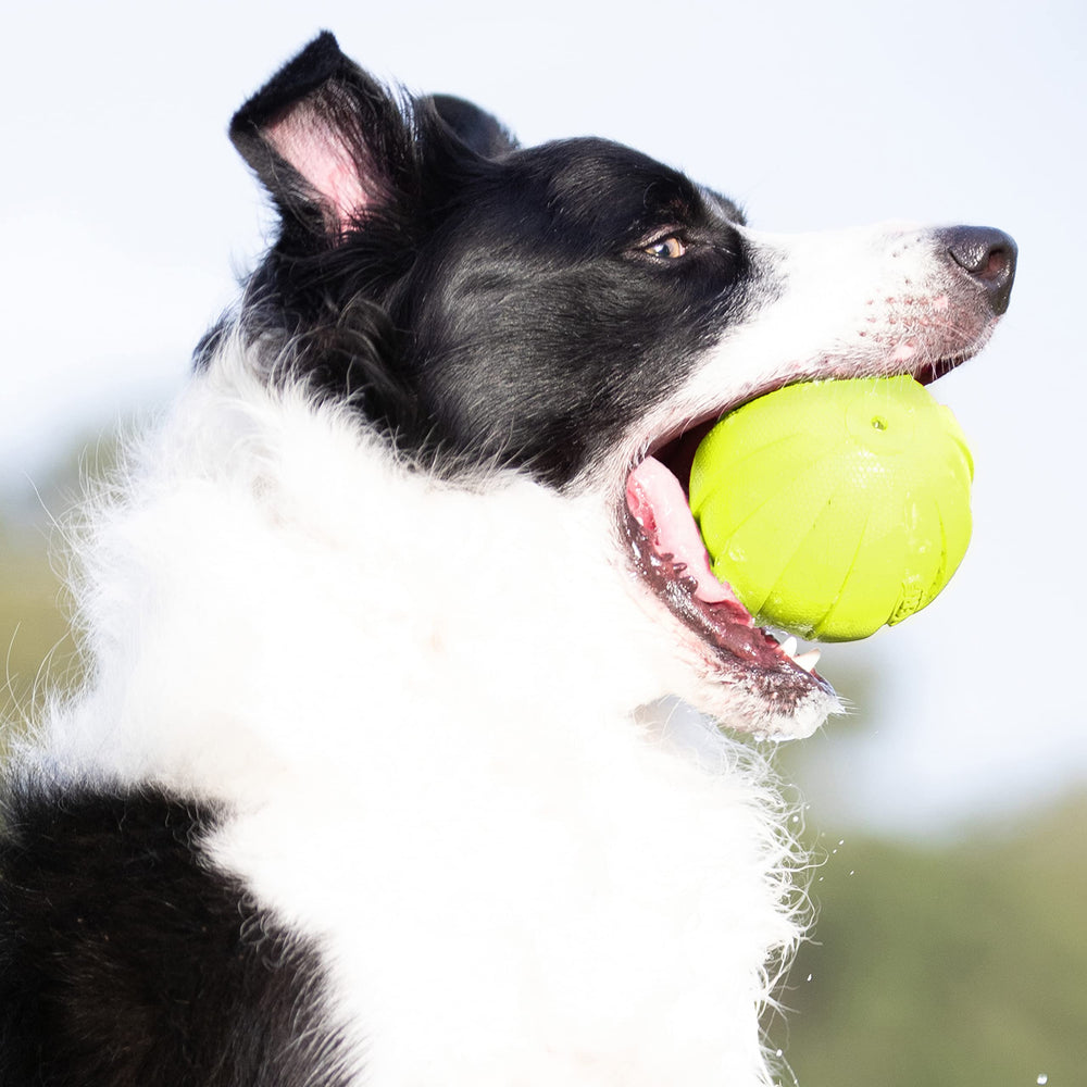 Balle Nerf Dog avec texture hexagonale pour une prise facile.