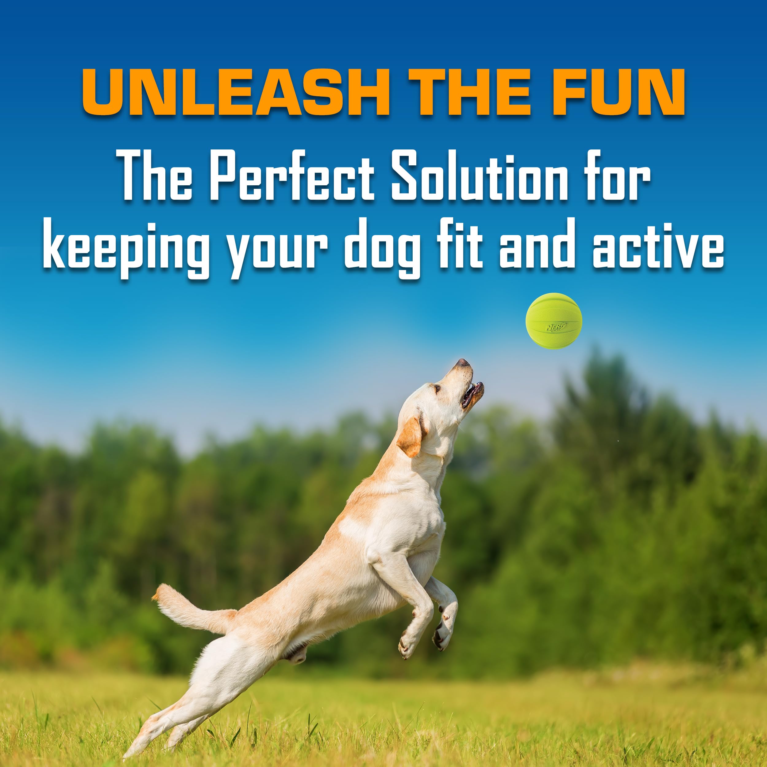Nerf Dog Classic Squeak Ball: légère et durable pour des sessions prolongées.