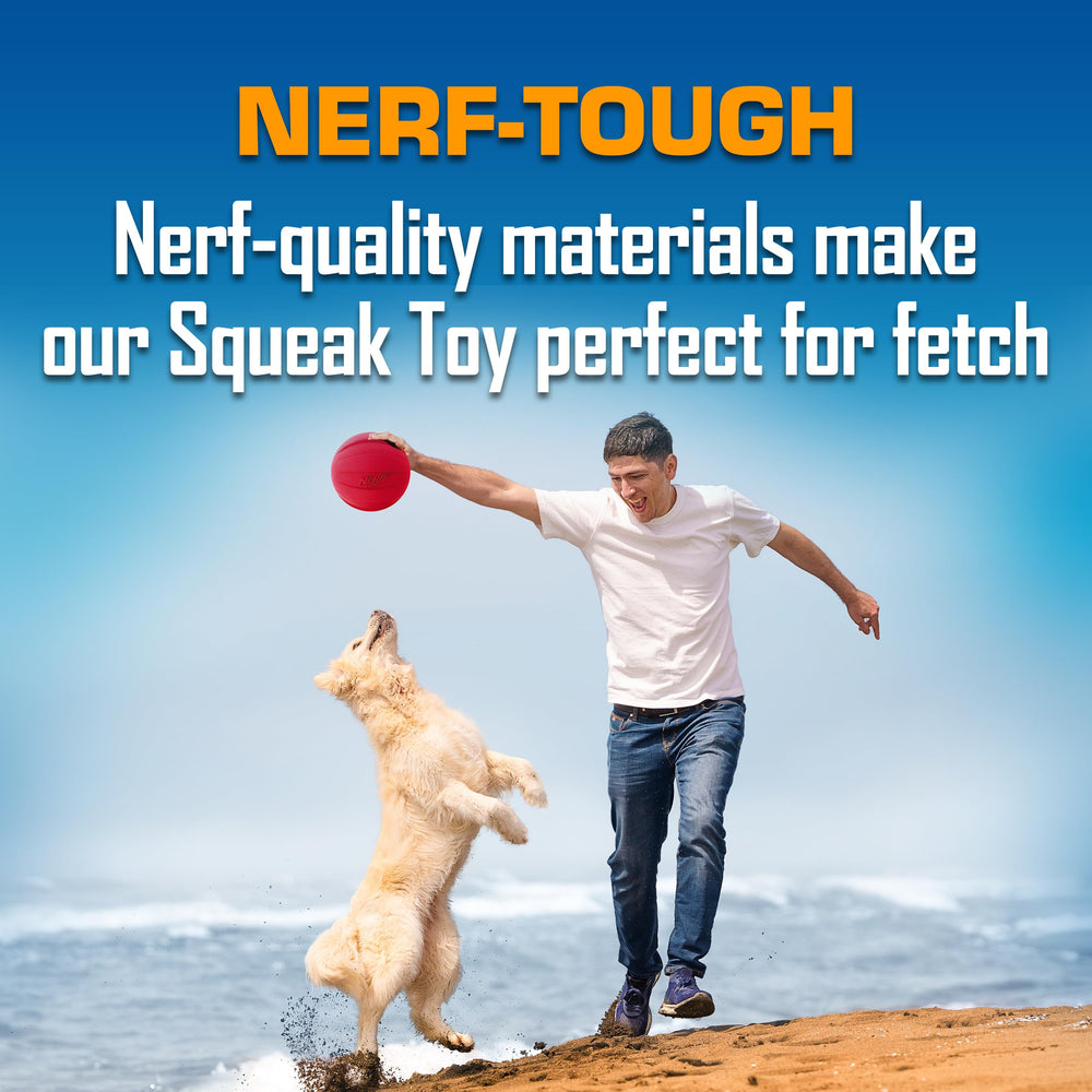 Nerf Dog Classic Squeak Ball: résistante à l’eau et au temps pour l’extérieur.