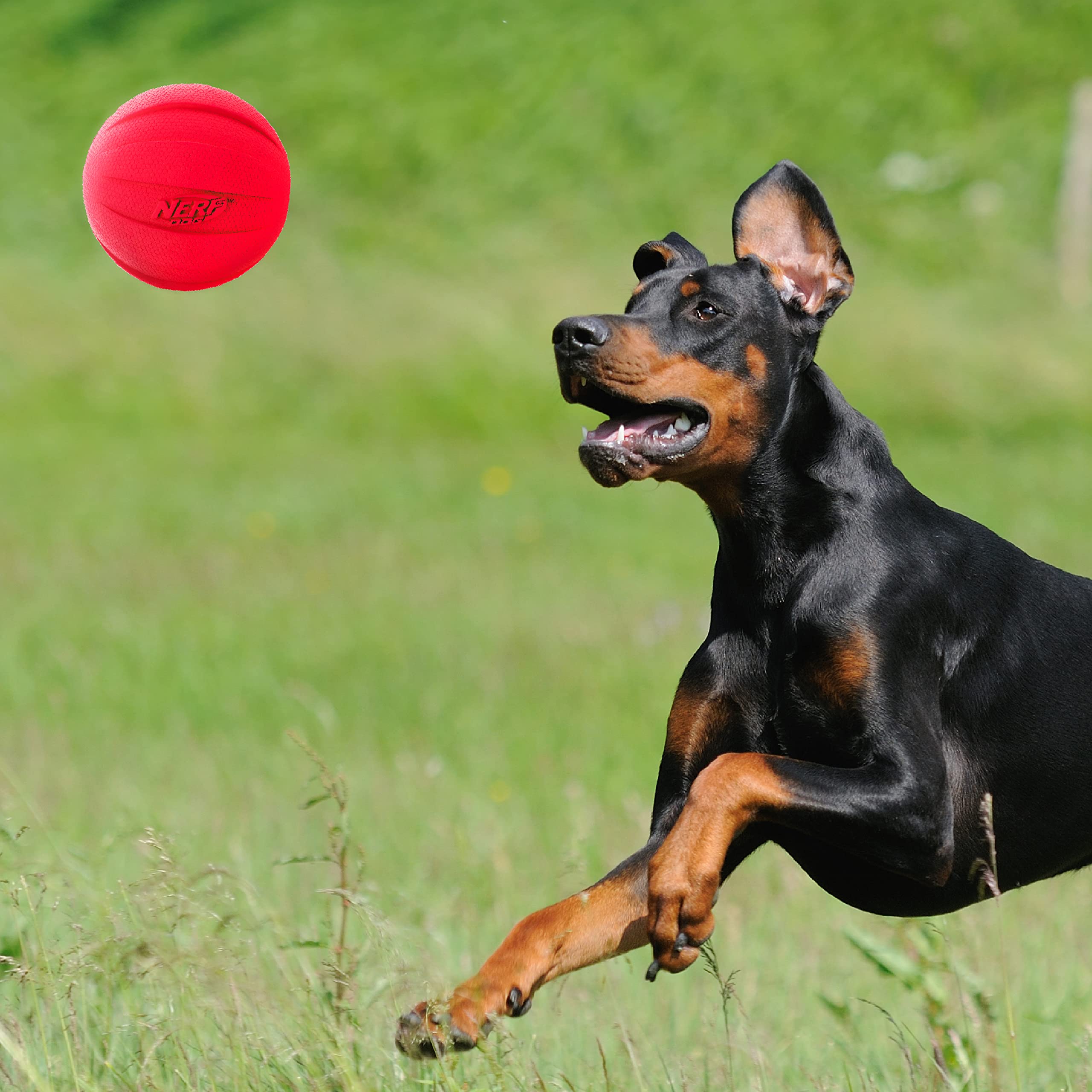 Nerf Dog Classic Squeak Ball: texture hexagonale gripante pour une prise facilitée.
