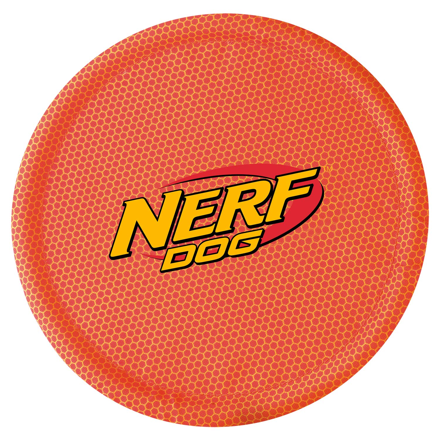 Nerf Dog Disque volant léger et durable, parfait pour les sessions de jeu variées.