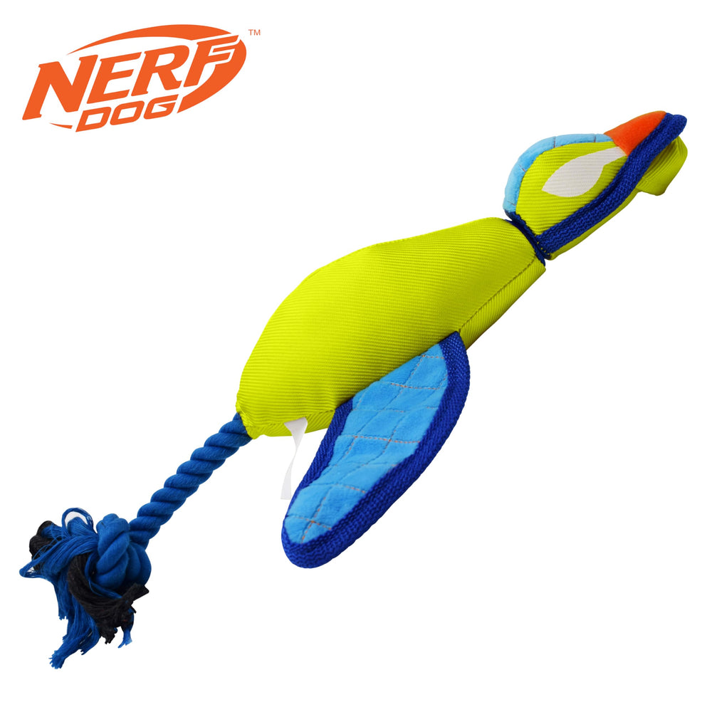 Nerf Dog distance fetch jusqu’à 75 pieds, divertissement longue durée