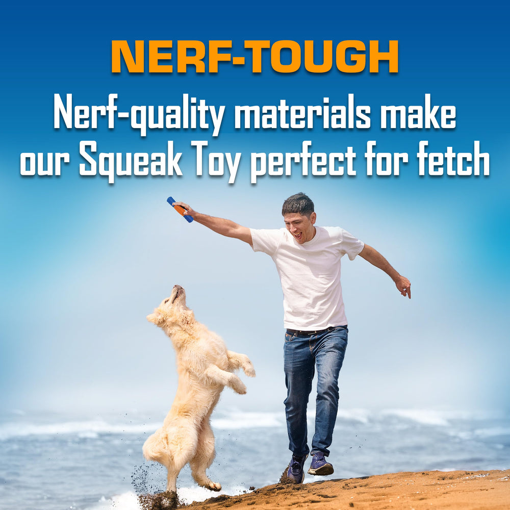 Nerf Dog EXO Squeak Stick Bleu/Orange en mouvement pour le jeu