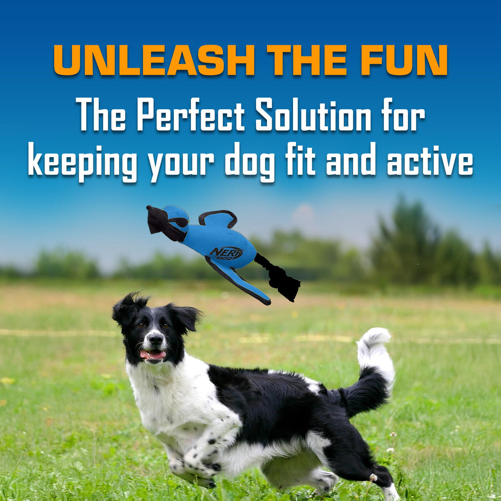 Nerf Dog Extérieur Nylon Durable, coque résistante adaptée aux mâchouilles et activités actives.